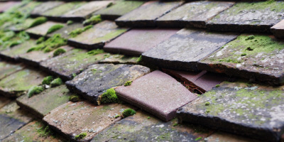 Bottrells Close roof repair costs